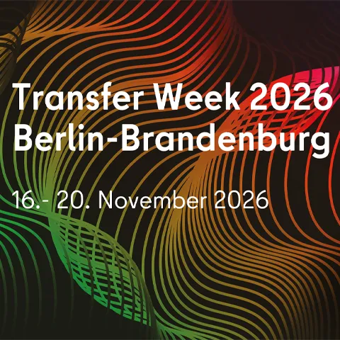 Transfer Week, 2026, Visual