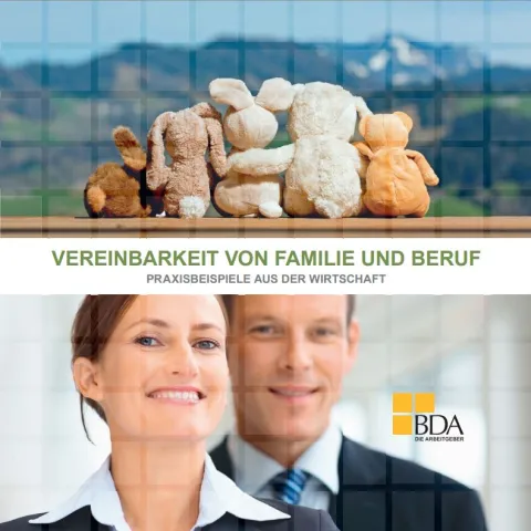 BDA - Praxisbeispiele aus der Wirtschaft